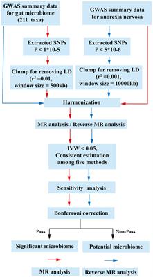 The causality between gut microbiome and anorexia nervosa: a Mendelian randomization analysis